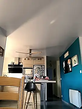 bogland33 online show from 11/18/25, 08:19