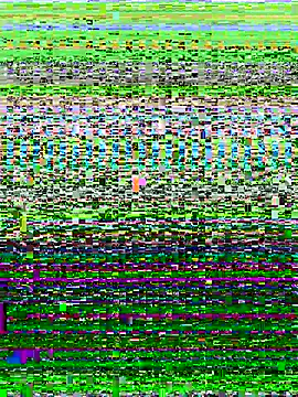 ahross online show from 10/13/25, 09:53