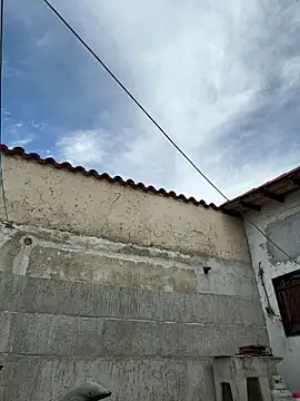 Leo bunny hot online show from 10/05/25, 07:23