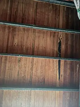 Leo bunny hot online show from 01/18/26, 08:23