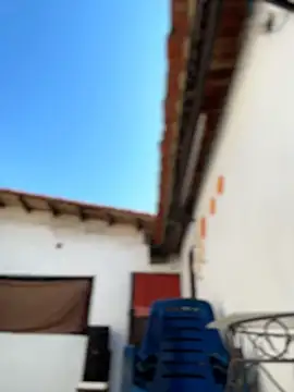 Leo bunny hot online show from 02/06/26, 07:17