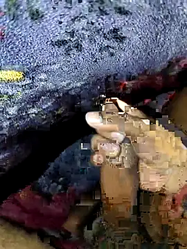 Kolkataboiy online show from 09/24/25, 02:59