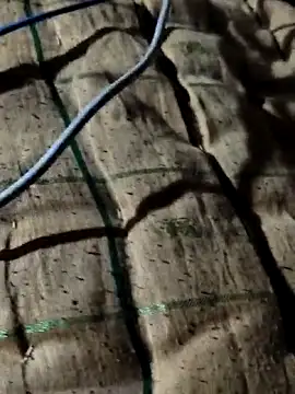 Kolkataboiy online show from 10/02/25, 10:50