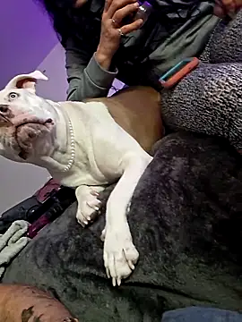 Jokergotherwett online show from 03/03/26, 08:09