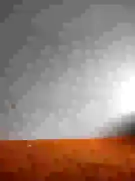 Dalou3a69 online show from 01/08/25, 10:59