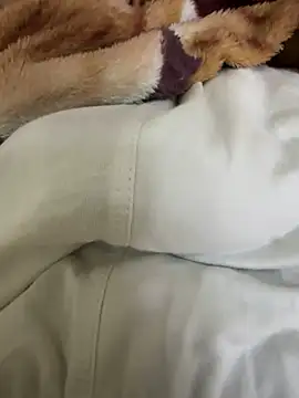 Snapshot of hamed-697 chatting on 12/04/24, 09:57 hamed-697 online show from 12/04/24, 09:57