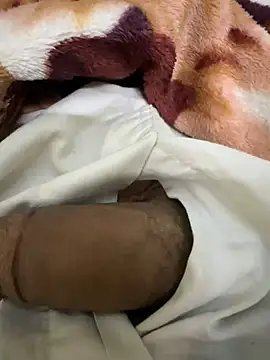 Snapshot of hamed-697 chatting on 12/09/24, 11:24 hamed-697 online show from 12/09/24, 11:24