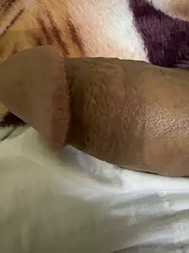 Snapshot of hamed-697 chatting on 12/12/24, 09:48 hamed-697 online show from 12/12/24, 09:48