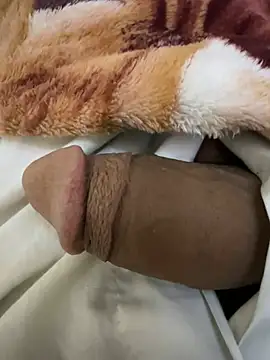 Snapshot of hamed-697 chatting on 12/14/24, 10:02 hamed-697 online show from 12/14/24, 10:02