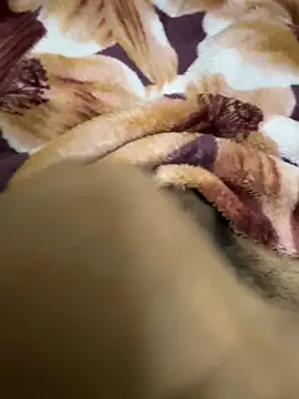 Snapshot of hamed-697 chatting on 12/16/24, 08:48 hamed-697 online show from 12/16/24, 08:48