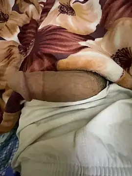 Snapshot of hamed-697 chatting on 12/25/24, 08:51 hamed-697 online show from 12/25/24, 08:51