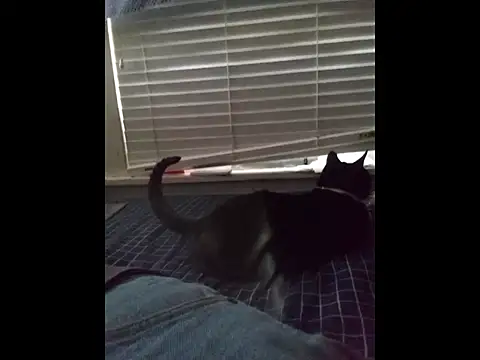 DevinToore online show from 03/20/26, 04:12