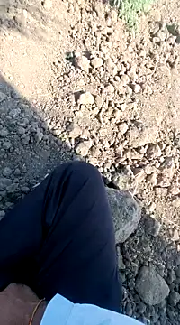 dickerdaddy25 online show from 02/18/25, 04:26