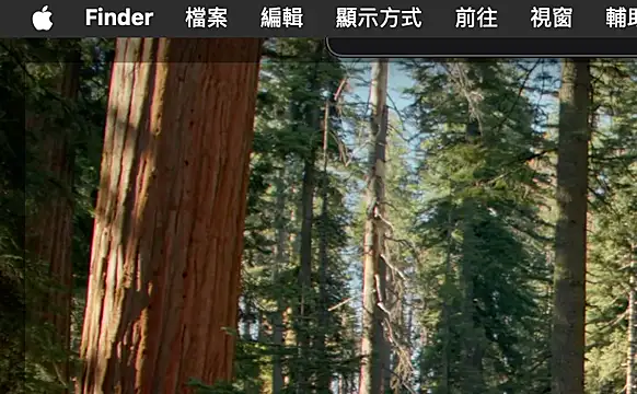 Snapshot of ex199212 chatting on 03/08/25, 01:50 ex199212 online show from 03/08/25, 01:50