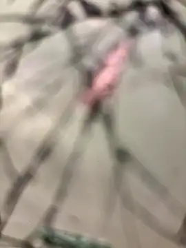 Snapshot of lescro95_ chatting on 12/14/25, 03:28 lescro95 online show from 12/14/25, 03:28