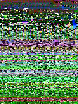 desiduzz21 online show from 02/22/25, 11:24