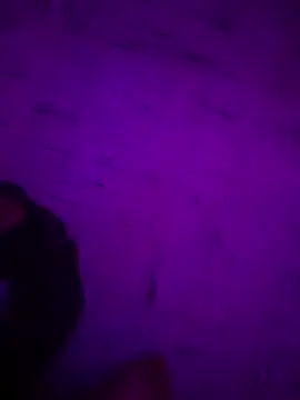 Snapshot of Argento14 chatting on 11/03/25, 05:31 Argento14 online show from 11/03/25, 05:31