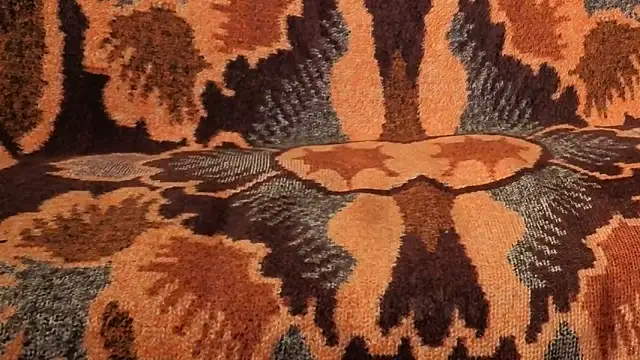 loverboyxxx69 online show from 02/09/26, 01:26