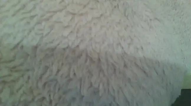 Snapshot of samanta0033 chatting on 12/02/24, 09:17 samanta0033 online show from 12/02/24, 09:17