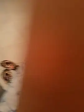 Aya germany online show from 02/11/25, 07:05