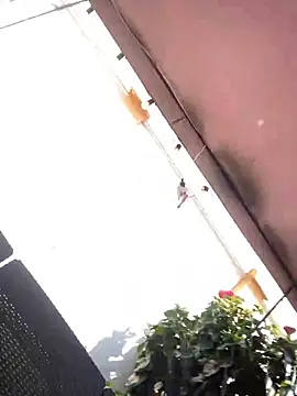 Snapshot of Praga_Pink chatting on 12/11/24, 05:59 Praga Pink online show from 12/11/24, 05:59