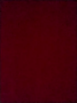 Snapshot of Luci_foxx chatting on 10/08/25, 03:59 Luci foxx online show from 10/08/25, 03:59