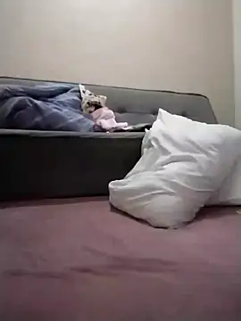 Snapshot of Luci_foxx chatting on 03/19/26, 01:42 Luci foxx online show from 03/19/26, 01:42