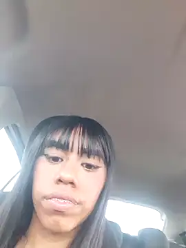 India grelo grande online show from 12/12/24, 10:02