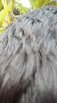 tayson  online show from 01/06/25, 02:58