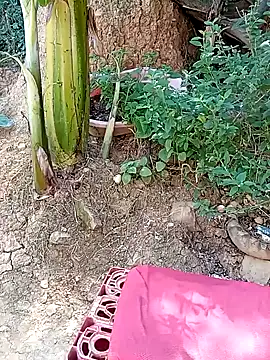 tayson  online show from 01/11/25, 03:20