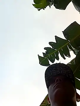 tayson  online show from 01/13/25, 11:52