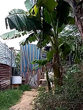 tayson  online show from 03/14/25, 11:34