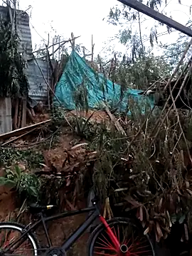 tayson  online show from 02/07/26, 11:36