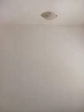 Snapshot of Virgin_Pussy_Love chatting on 10/15/25, 12:49 Virgin Pussy Love online show from 10/15/25, 12:49