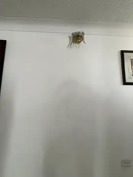 HannaSmiith online show from 03/16/25, 01:27