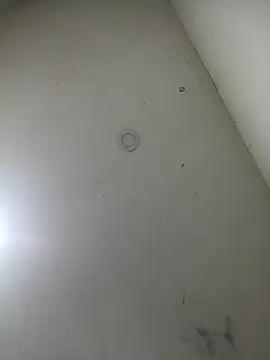 jeremiabello online show from 03/17/25, 10:49