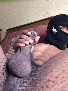 Snapshot of the_bigwc chatting on 12/22/24, 05:45 the bigwc online show from 12/22/24, 05:45