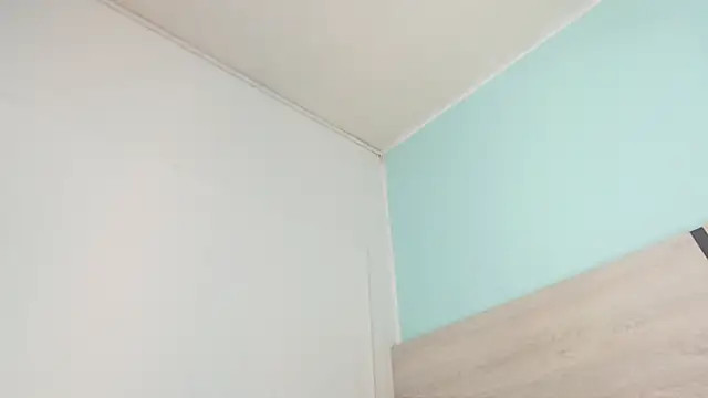 Snapshot of violeta_leon chatting on 12/29/24, 01:24 violeta leon online show from 12/29/24, 01:24