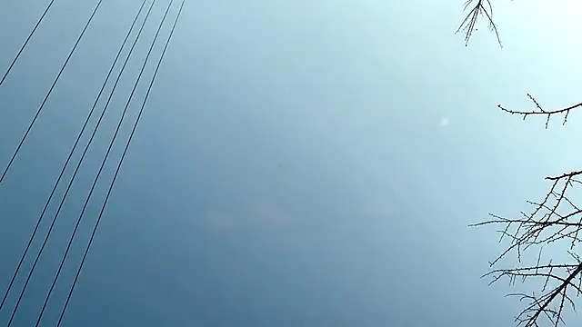 Snapshot of QianF-666 chatting on 02/13/25, 09:30 QianF-666 online show from 02/13/25, 09:30