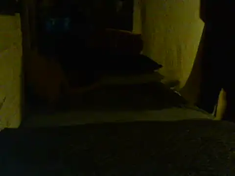 Snapshot of Gman143187 chatting on 02/02/25, 09:08 Gman143187 online show from 02/02/25, 09:08