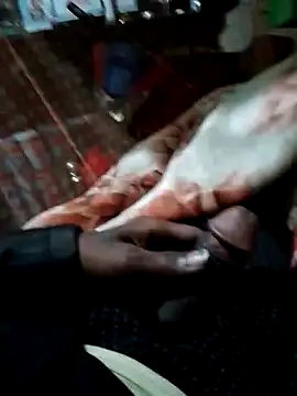 Antor1234 online show from 12/15/24, 06:37