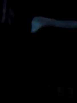 Antor1234 online show from 02/23/25, 05:07