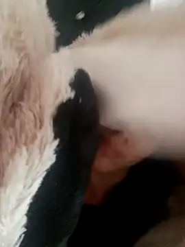 giuliana andrade online show from 02/19/25, 09:28