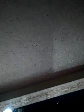 Leocesar37 online show from 11/15/25, 04:54