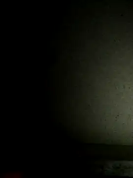 Leocesar37 online show from 11/19/25, 04:29