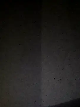 Snapshot of Leocesar37 chatting on 07/01/26, 08:38 Leocesar37 online show from 07/01/26, 08:38