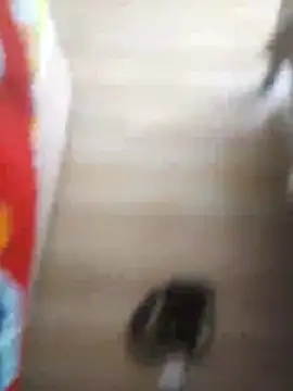 Snapshot of 510915asi chatting on 12/20/25, 12:01 510915asi online show from 12/20/25, 12:01