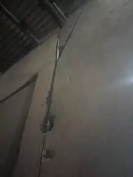 blackjackvv online show from 12/29/24, 10:03