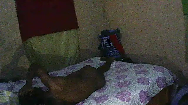 blackjackvv online show from 02/11/25, 12:28