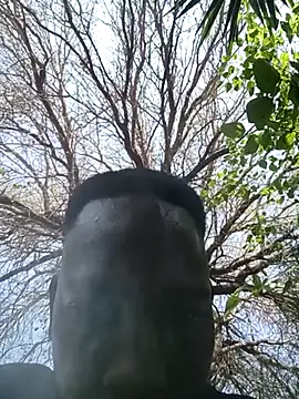 blackjackvv online show from 09/16/25, 11:22